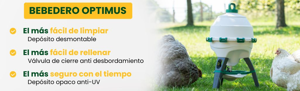Bebedero pollos optimus